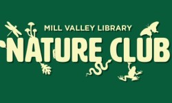 Nature Club – Celebrating Spiders, Mill Valley Library