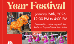 Lunar New Year Festival