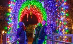 Holiday light arch