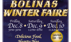 Bolinas winter faire