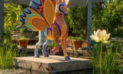 Sonoma Botanical Garden: Spirit Guides