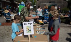 Point Reyes Birding Festival