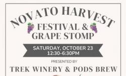 Novato Harvest Festival flyer