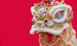 Lion dance costume on red background