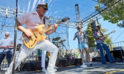 Novato Festival of Art, Wine & Music