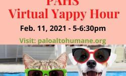 Palo Alto Humane Society presents Virtual Yappy Hour