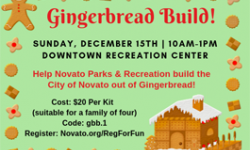 Gingerbread Build! Novato