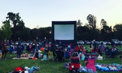 Movies in the Park Petaluma