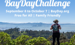 Bay Day Challenge 2023