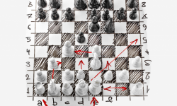 Beginning Chess for Kids, Belvedere Tiburon Library