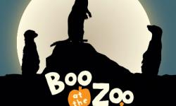 Boo at the Zoo, San Francisco Zoo