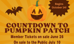 Western Railway Museum Pumpkin Patch Festival
