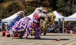 Lion dancer at China Camp State Park