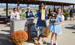 Canine Costume Contest at Larson Winery, Sonoma