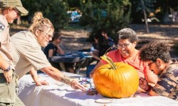 Pumpkin painting in park