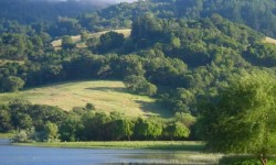 Stafford Lake Park Novato