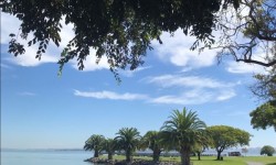 McNears Beach Park San Rafael