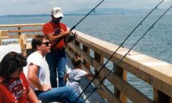 people pier fishing at Paradise Beach Park in Tiburon