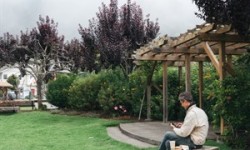 Person playing guitar on bench at park