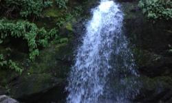 Buck Gulch waterfall Novato