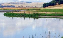 Rush Creek Open Space Preserve wetlands Novato