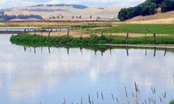 View of wetlands Rush Creek Preserve Novato