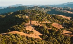 View of Marin County hills with trees