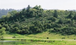 San Geronimo park landscape view