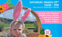 Mill Valley Spring Faire 2025
