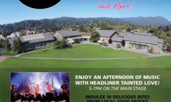 Mill Valley Community Center 25th Anniversary