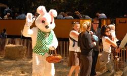 Eggstraordinary Easter Egg Hunt, Roaring Camp Railroads