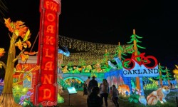Glowfari at Oakland Zoo