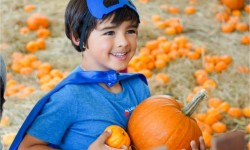 Harvest Fair boy in costume with pumpkins