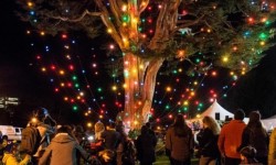 McLaren Lodge Holiday Tree Lighting