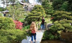 Japanese Tea Garden, San Francisco