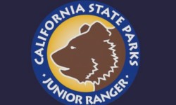 Junior Rangers: Special family work-learn-play day