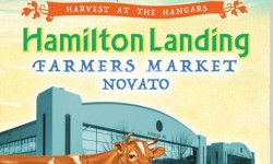 Hamilton Landing Farmers Market Novato