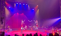 Circus Vargas, The Village Corte Madera