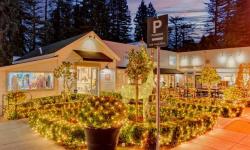 Winter Wonderland at The Lark Creek Shop