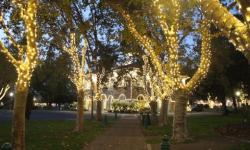 Sonoma Plaza with holiday lights