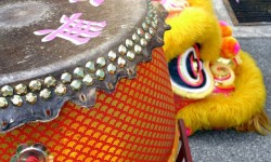 Lunar New Year Celebration at SF Botanical Garden