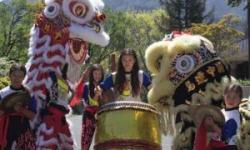 Lion Dance Performance, San Anselmo Library
