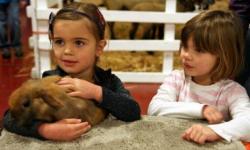 Farm Day, Marin Center in San Rafael