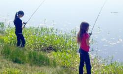 Lake Fishing for Kids, Stafford Lake in Novato