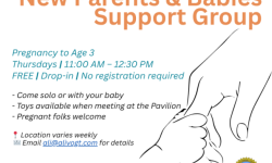 New Parents, Babies and Toddlers Support Group, Fairfax
