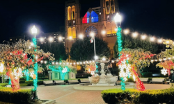 Nob Hill Holiday tree lighting