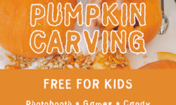 Malibu Farm Tiburon Pumpkin Carving