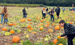Weekend Along Farm Trails Fall Tour