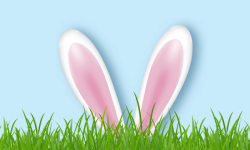 Easter bunny ears illustration