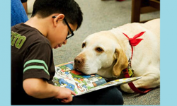 Read to a Dog!, Belvedere Tiburon Library